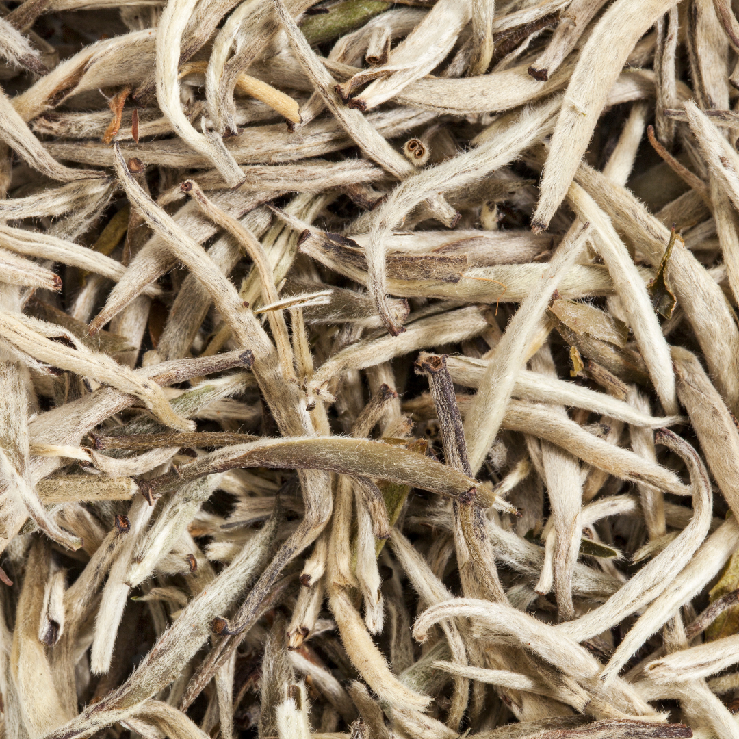 Té Blanco